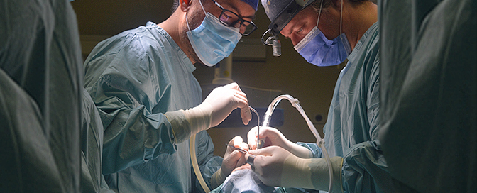 piezo rhinoplasty